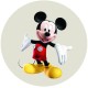 11235R Disc vafa Mickey Mouse D20cm